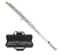 Haofy Silver 16-Hole C Flute with Brass Construction and Sheep Casing Pad, Professional Concert Instrument for Beginners, Includes Storage Bag (Silver)