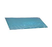 Haofy Transparent Sea Motive Poster PVC PVC Transparent Sea Poster for the Decorative Image of the Aquarium, Great Applicability for the Aquarium, Aquascape (61 * 41CM)