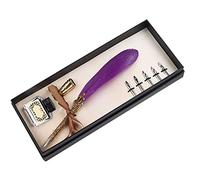 Haofy Vintage Feather Pen Set Gothic Italian Calligraphy Metal Retro Pen Holder Business Gift Set for Imagination Fun, Gift Suit for Couples Teachers Elders (Dark Purple)