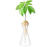 Haoideo Avocado Seed Sprout Starter Vase Planter Pot Glass Avocado Tree Plant Growing Vase Kit Indoor Home Decor Hydroponic Tabletop Flower Pot for Plant Lover