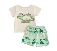 Haomibacu Toddler Boy Summer 2 Piece Shorts Outfits Cute Dinosaur Towel Embroidery t Shirt Print Shorts Casual Brothers Clothes Set For 0-5 Years (Green, 18-24 Months)