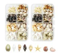 HAOQIAGA 480 Pcs Small Sea Shells, 8 Kinds of Seashells and Conch Shell, Natural Seashell Decorations, Sea Snails, and Starfish for DIY Beach Painting Candle Making Fish Tank