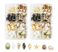 HAOQIAGA Mixed Sea Shells, 8 Kinds of Seashells and Conch Shell
