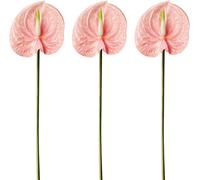 HAOSHICS 22 "Artificial Anthurium Lily Flowers Permanent Flower,3 Pcs Tropical Imitation Plant Flower Bouquets for Table Centerpieces,Bridal Wedding Festival Decor Flower (H)