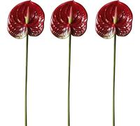 HAOSHICS 22 "Artificial Anthurium Lily Flowers Permanent Flower,3 Pcs Tropical Imitation Plant Flower Bouquets for Table Centerpieces,Bridal Wedding Festival Decor Flower (D)