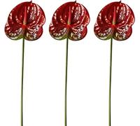HAOSHICS 22 "Artificial Anthurium Lily Flowers Permanent Flower,3 Pcs Tropical Imitation Plant Flower Bouquets for Table Centerpieces,Bridal Wedding Festival Decor Flower (J)