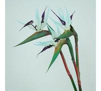 HAOSHICS 3pcs Artificial Bird Of Paradise Flowers Rubber Strelitzia 24.5'' Long Stem Flower Suitable For DIY Home Decor Party Theme Display Fall Decor (3pcs-Blue)