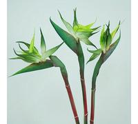 HAOSHICS 3pcs Artificial Bird Of Paradise Flowers Rubber Strelitzia 24.5'' Long Stem Flower Suitable For DIY Home Decor Party Theme Display Fall Decor (3pcs-Green)