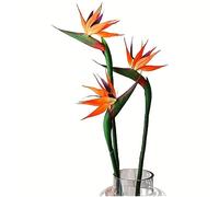 HAOSHICS 3Pcs Artificial Heaven Bird Flowers,Fake Bird of Paradise Strelitzia,Faux Silk Plants for Home Office Wedding Table Centerpeice Decor