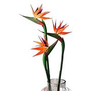 HAOSHICS 3Pcs Artificial Heaven Bird Flowers,Fake Bird of Paradise Strelitzia,Faux Silk Plants for Home Office Wedding Table Centerpeice Decor (small, sunset)