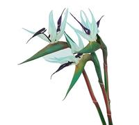 HAOSHICS 3Pcs Artificial Heaven Bird Flowers,Fake Bird of Paradise Strelitzia,Faux Silk Plants for Home Office Wedding Table Centerpeice Decor (small, blue)