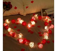 HAOSHICS String Lights, Battery Operated Rose Flower String Fairy Lights for Christmas, Valentine's, Wedding,Party,Indoor,Garden Decoration (Red Rose,1.5M/4.92ft 10LEDs)