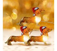 Haosonw Dachshund Dog String Lights, 10Ft 30 LEDs Pet Dog Twinkle Lights, USB & Battery Operated Dachshund Christmas Lights with Remote Timer for Wedding Party Christmas Tree New Year Home Decor