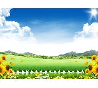 Haosphoto 10X7FT Polyester Wedding Backdrop for Photography Spring Garden Floral Green Grass Sunflower Background for Girls Birthday Bridal Shower Valentine's Day Anniversary Photo Studio Props HS1298