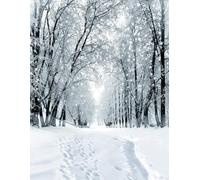 Haosphoto 5X7FT/150X210cm Thin Vinyl Photography Backdrops Christmas Bokeh Halos Rural Forest Heavy Snow Scene Kids Adults Merry Christmas Portraits Photo Background Photo Studio Props 9207