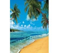 Haosphoto 5X7FT/150X210cm Tropical Beach Backdrop Seaside Backdrops for Photography Palm Trees Blue Sky White Cloud Luau Summer Vinyl Photo Background Ocean Sailing Journey Studio Props CA111