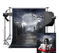 Haosphoto 6X9FT/180X270cm Thin Vinyl Photography Backdrops Halloween Horror Night Mysterious Moon Door Scene Newborn Baby Adult Halloween Masquerade Photo Backgrounds Studio Props AP28