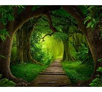 Haosphoto 7X5FT Tropical Forest Backdrop for Photography Jungle Woods Backdrops Green Grass Lawn Spring Background for Birthday Cake Smash Kids Safari Party Wedding Photo Studio Props Vinyl HS662