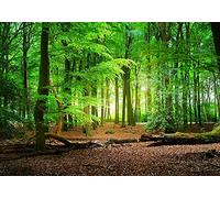 Haosphoto 8X6FT Spring Forest Backdrop for Photography Fairytale Wonderland Forest Trees Backdrops Jungle Woods Camping Background for Birthday Kids Safari Party Wedding Photo Studio Props HS601