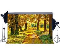 Haosphoto Autumn Backdrop 7X5FT Vinyl Rural Forest Trees Backdrops Woods Golden Leaves Dirt Road Path Wedding Photography Background for Greeting Harvest Thanksgiving Day Photo Studio Prop YX957