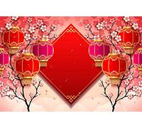 Haosphoto Chinese New Year Backdrop for Photography 8X6FT Chinese Spring Festival Celebration Backdrops Red Lantern Floral Flowers Background for Chinese New Year Party Photo Studio Props Vinyl HS788