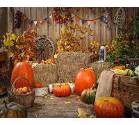 Haosphoto Happy Thanksgiving Day Backdrop 10X8FT Vinyl Greeting Autumn Harvest Backdrops Haystack Hay Bale Farmland Fall Pumpkins Photography Background for Family Halloween Photo Studio Props HS66