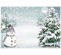 Haosphoto Merry Christmas Backdrop 5X3FT Snowman Vinyl Backdrops Heavy Snow Rural Winter Wonderland Pine Forest Xmas Photography Background for Happy New Year's Eve Party Photo Studio Props PD185