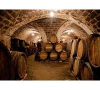 Haosphoto Vinyl 7X5FT Old Wine Cellar Backdrop Shabby Barn West Cowboy Backdrops Vintage Cast Barrel Grunge Arch Brick Wall Photography Background for Men Adults Portraits Photo Studio Props YX489