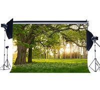 Haosphoto Vinyl 7X5FT Spring Backdrop Jungle Forest Backdrops Trees Green Grass Meadow Fresh Flowers Nature Photography Background for Kids Adults Outdoor Picnic and Hiking Photo Studio Props YX332