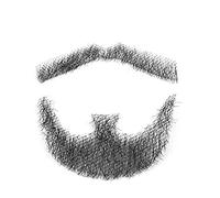 haosshop Human Hair Mustache, Handmade Men's Beard for Costume and Halloween Party Style 3