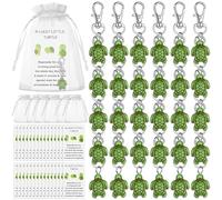 HAOWANWW 30Sets Positive Inspirational Turtle Gifts Lucky Turtle Keychain You're Turtley Awesome Thank You Note Cards Greeting Card with Organza Bags for Employee Coworkers Appreciation Pocket Favors