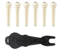 Haoyic 6 Pcs Acoustic Guitar Bridge Pins String Peg Replacements with Removal Tool for Electric Classical and Folk Guitars