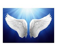 Haoyiyi 7x5ft Mother's day Backdrop Flying White Angel Wings Sunshine Romantic Background Photography Photo Newborn Mother Lady Baby Shower Valentines Day Anniversary Spring Artistic Photo Booth Props