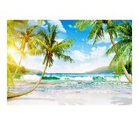 Haoyiyi 8x6ft Seaside Backdrop Tropical Island Beach Palm Trees Sunny Background Photography Photo Travel Kids Birthday Party Baby Shower Holiday Vacation Prop Portrait Wallpaper Decor
