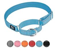 haoyueer Adjustable Martingale Safety Training Dog Collars, Soft Neoprene Padded Breathable Nylon Pet Collar for Small Medium Large Dogs (L, Blue)