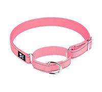 haoyueer Adjustable Martingale Safety Training Dog Collars, Soft Neoprene Padded Breathable Nylon Pet Collar for Small Medium Large Dogs (S, Pink)