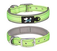 Haoyueer Comfortable Soft Neoprene Padded Dog Collar, Reflective Pet Collar, Adjustable Heavy Duty Nylon Dog Collar for All Breeds Large Dogs (L, Green-1)