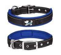 Haoyueer Comfortable Soft Neoprene Padded Dog Collar, Reflective Pet Collar, Adjustable Heavy Duty Nylon Dog Collar for All Breeds Large Dogs (XL, Dark Blue)