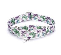 haoyueer Heavy Duty Nylon Adjustable Martingale Dog Collar for Walking Training Boy and Girl Dogs (L:45-53CM, flower butterfly)