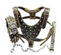 haoyueer Leather Sharp Spiked Studded Dog Collars, Harnesses & Chain Leashes 3Pcs Matching Set for Medium & Large Dog Pit Bull,Mastiff, Boxer, Bull Terrier (M, Gold Brown)