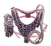 haoyueer Leather Sharp Spiked Studded Dog Collars, Harnesses & Leashes 3Pcs Matching Set for Medium & Large Dog Pit Bull,Mastiff, Boxer, Bull Terrier (M, Pink Leopard)