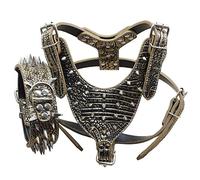 haoyueer Leather Sharp Spiked Studded Medium & Large Dog Collars, Harnesses 2Pcs Matching Set for Pit Bull,Mastiff, Boxer, Bull Terrier (L, Gold Brown)