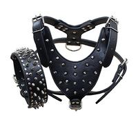 haoyueer Leather Spiked Studded Medium & Large Dog Collars, Harnesses 2Pcs Matching Set for Pit Bull,Mastiff, Boxer, Bull Terrier (M, Black)
