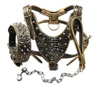 haoyueer Leather Spiked Studded Medium & Large Dog Collars, Harnesses & Chain Leashes 3Pcs Matching Set for Pit Bull,Mastiff, Boxer, Bull Terrier (L, Gold Brown)