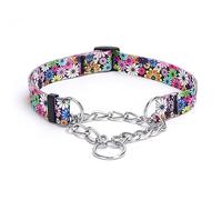 haoyueer Martingale Dog Collar - Stainless Steel Chain, No Pull Training Collar with Flower Design for Large Medium Small Dogs (S, Fireworks)