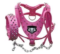 haoyueer Medium & Large Breed Leather Spiked Studded Dog Harness,Collar & Leashes 3Pcs Set for Medium & Large Dog Pit Bull,Mastiff, Boxer, Bull Terrier (XL, Hot Pink)