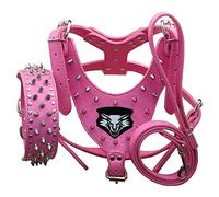 haoyueer Medium & Large Dog Leather Spiked Studded Dog Harness,Collar & Leash 3Pcs Set for Pit Bull,Mastiff, Boxer, Bull Terrier (L, Hot Pink)