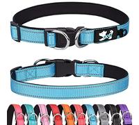 Haoyueer Padded Dog Collar Reflective Dog Collars for Small Medium Large Dogs Comfortable Soft Neoprene Adjustable Basic Dog Collars (S, Blue)