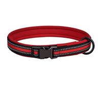 haoyueer Reflective Nylon Dog Collar with Safety Buckle, Adjustable Pet Collars with Soft Neoprene Padding for Small Medium Large Dogs (XS fit neck 25-32cm, Red)