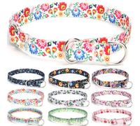 haoyueer Training Dog Collar, No Pull Martingale Collar, Slip Collar with Slidable Stop Ring for Small, Medium, Large Dogs (M, White)